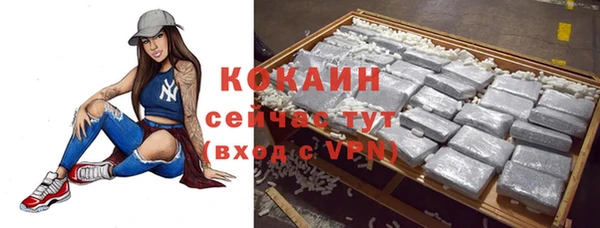 сатива Белоозёрский
