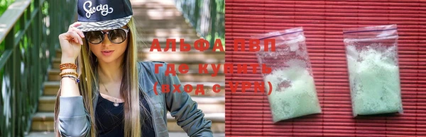сатива Белоозёрский