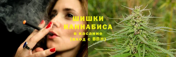 сатива Белоозёрский