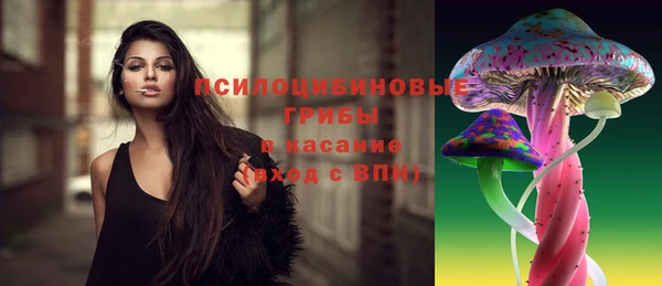 гашик Беломорск