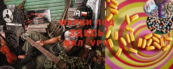 сатива Белоозёрский