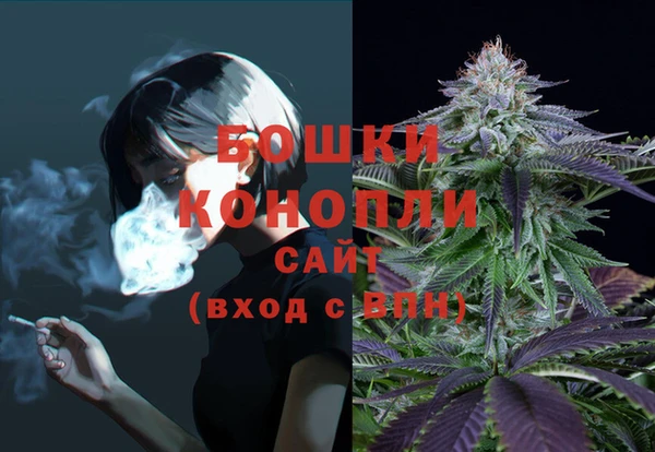 гашик Беломорск